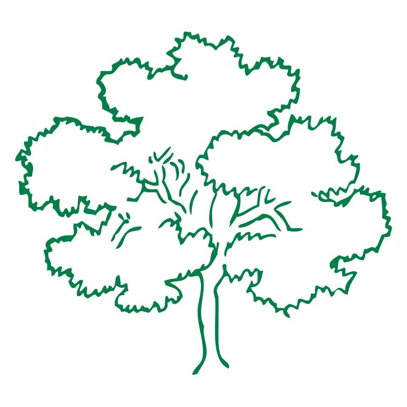 Baum Wald Natur