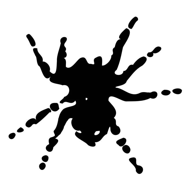 spider_insects_1