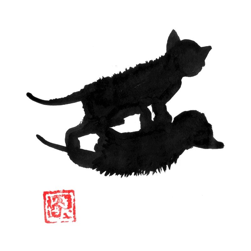 cat shadow