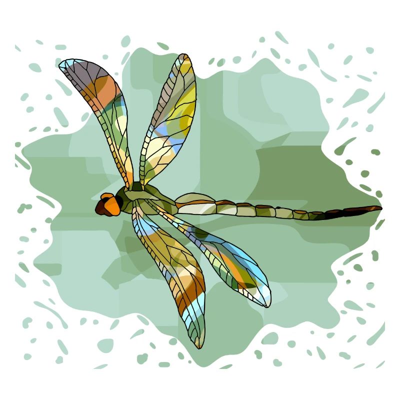 Libellule