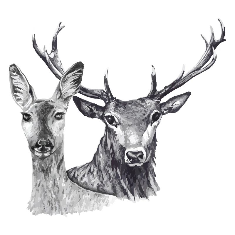 Hirsch und Schleim