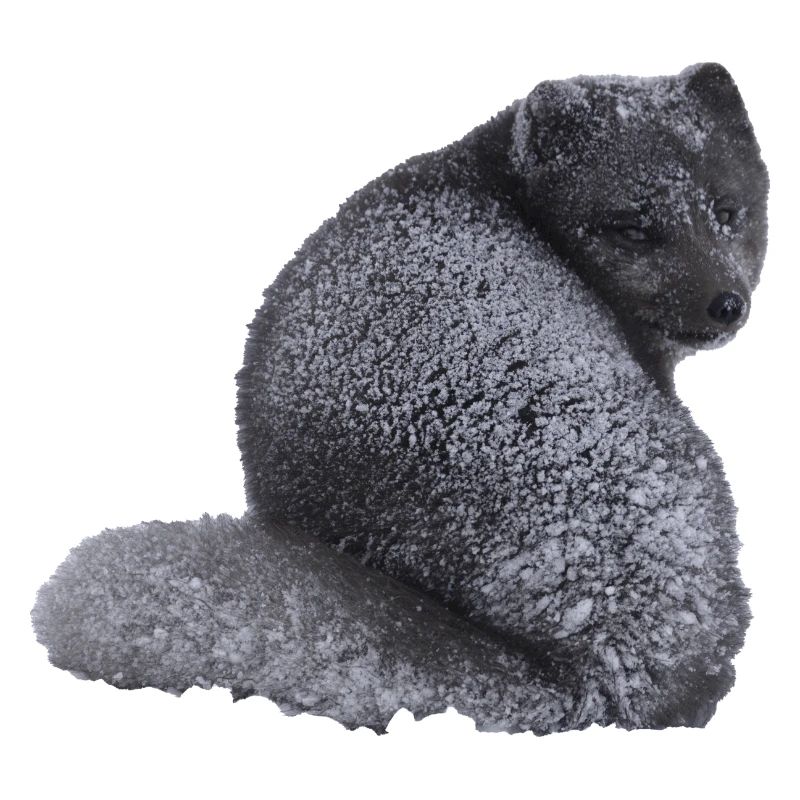 fox cub