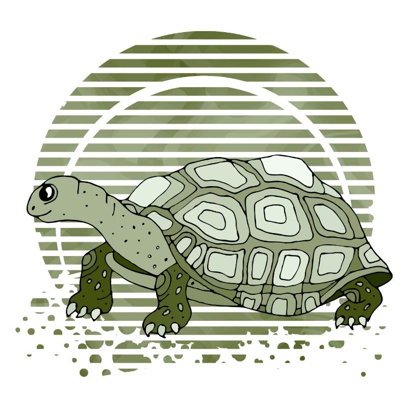 Tortoise