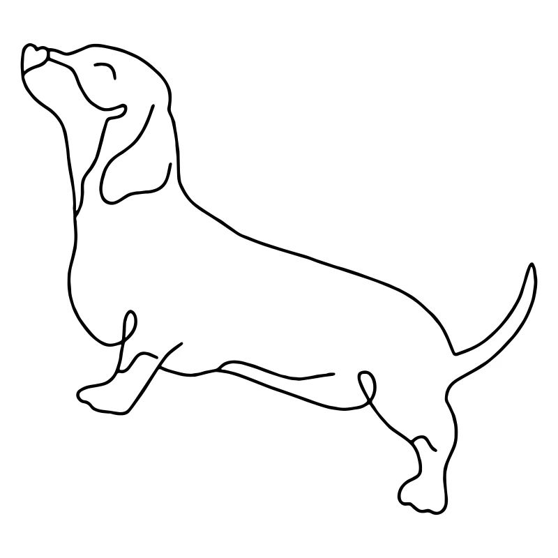 langer Hund