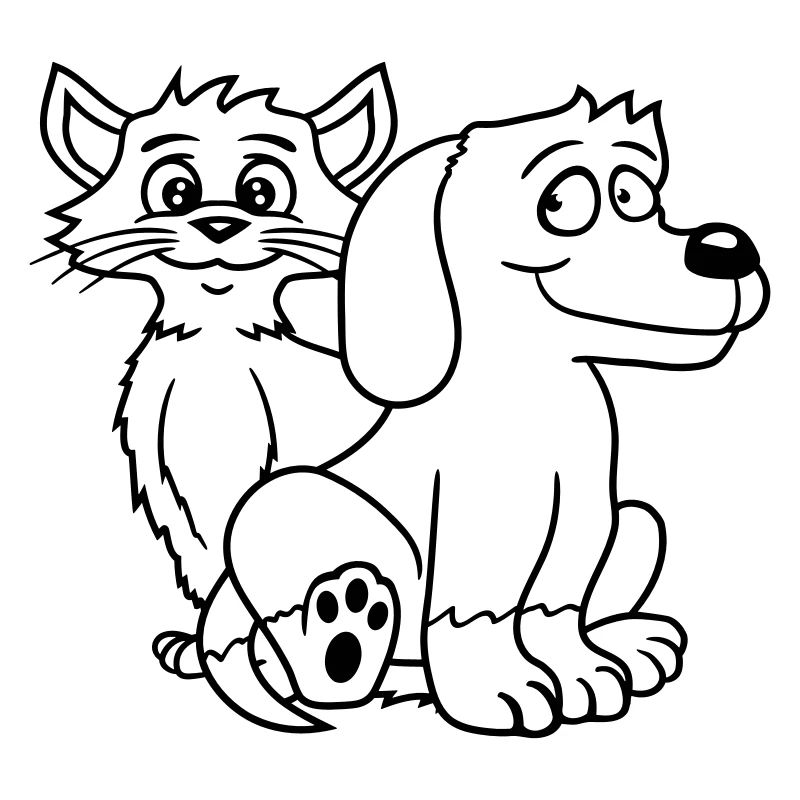 Hund Katze Zwei Freunde Team Kätzchen 2 Duo Crew