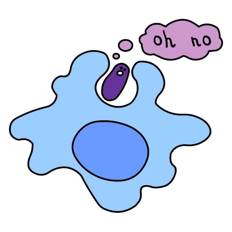 Phagozytose