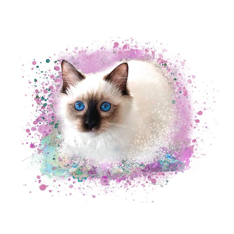 katze, rosa,aquarell ,malerei,graffiti,kätzchen