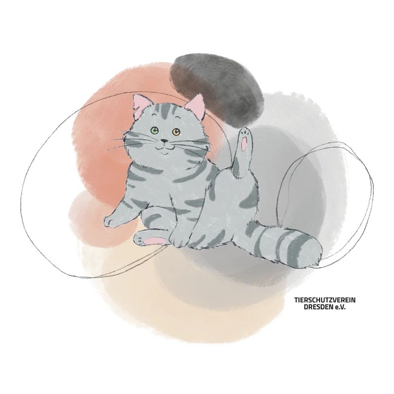 🐾 Grau getigerte Katze🐱