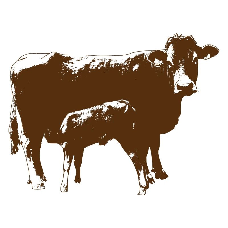 Kuh mit Kalb