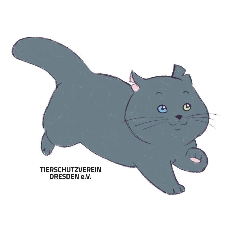 🐾 Schwarze Katze 🐈‍⬛