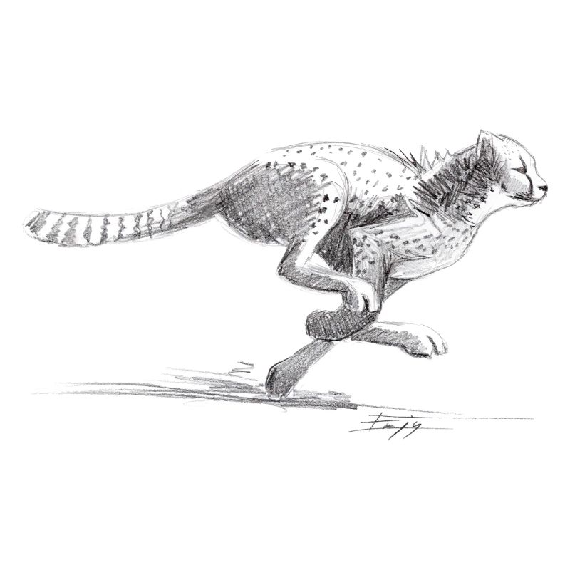Gepard