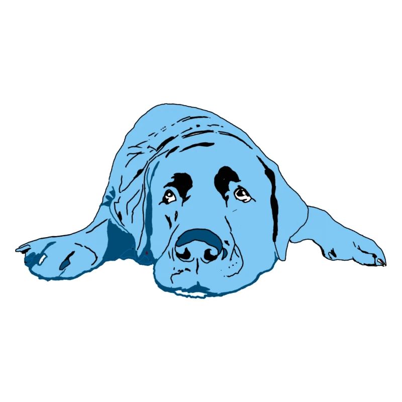 Labrador