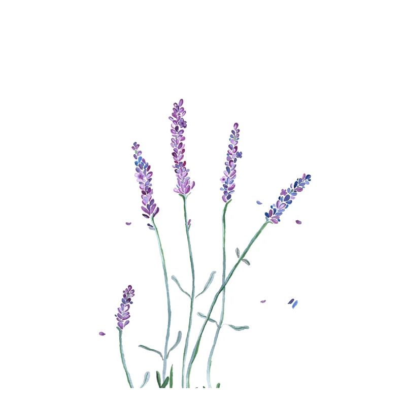 Lavendel Blumen Aquarell