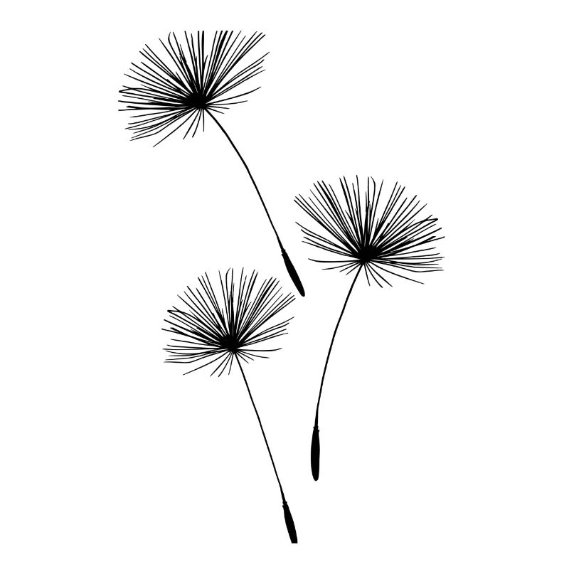 Pusteblume Löwenzahn Blumenblüten