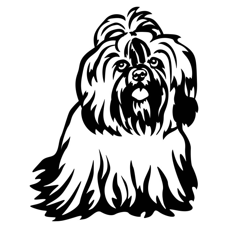 Shih-Tzu