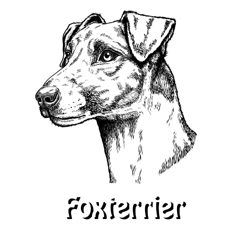 Foxterrier Glatthaar Portrait