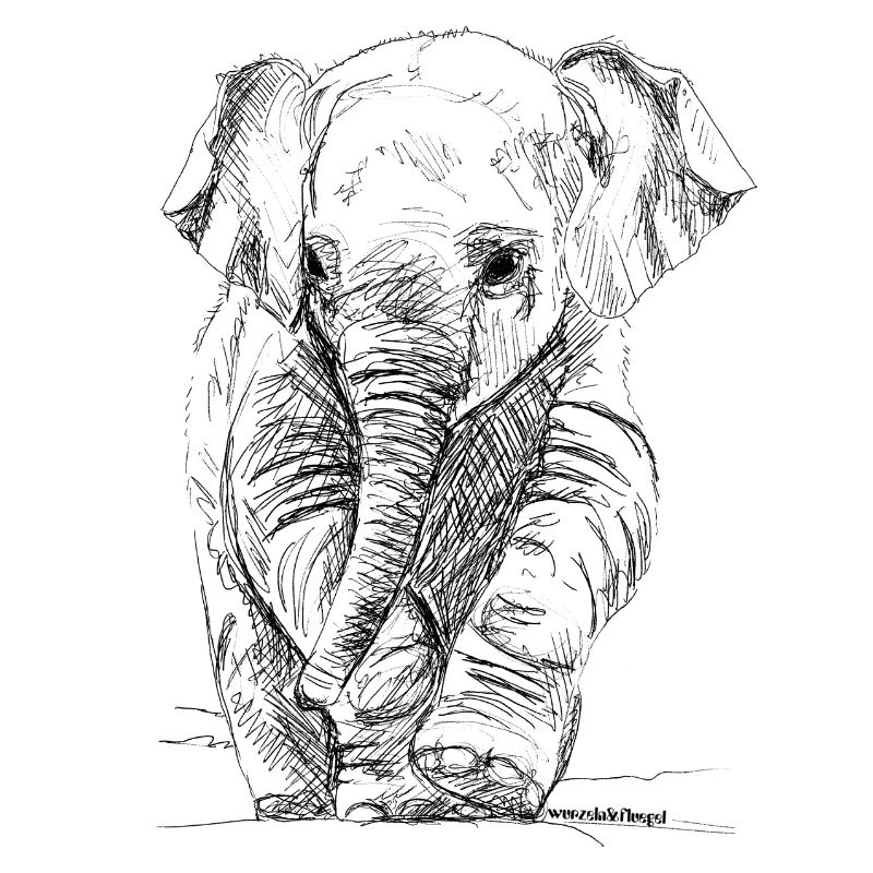 Elefant
