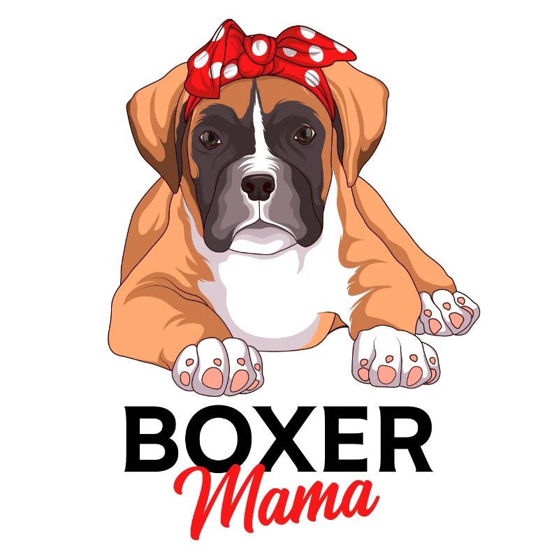 Boxer Hund