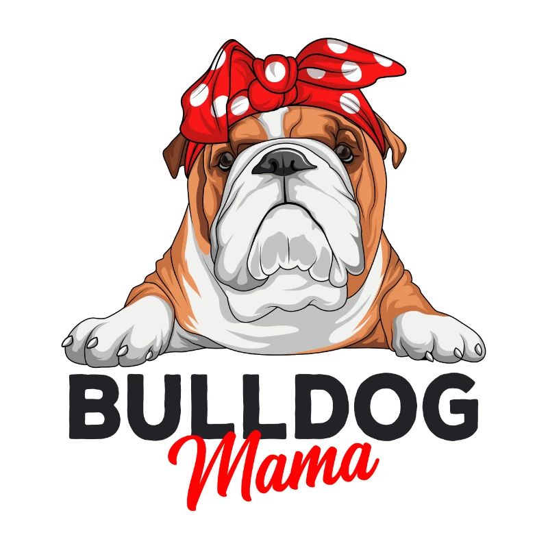 Englische Bulldogge