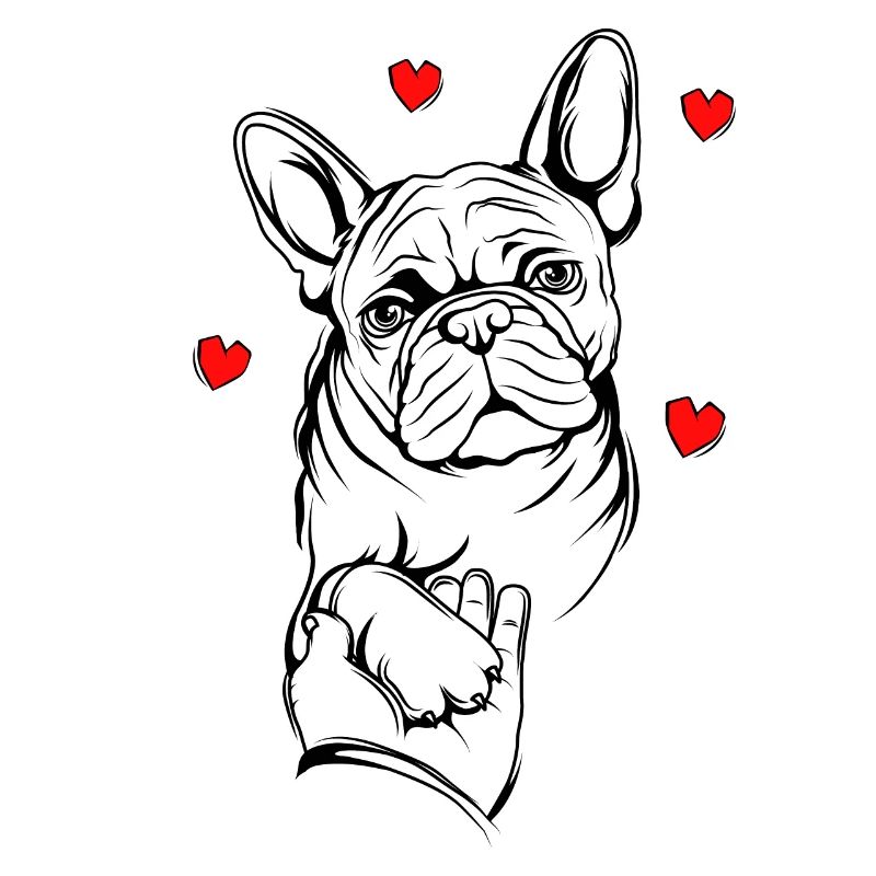 Französische Bulldogge