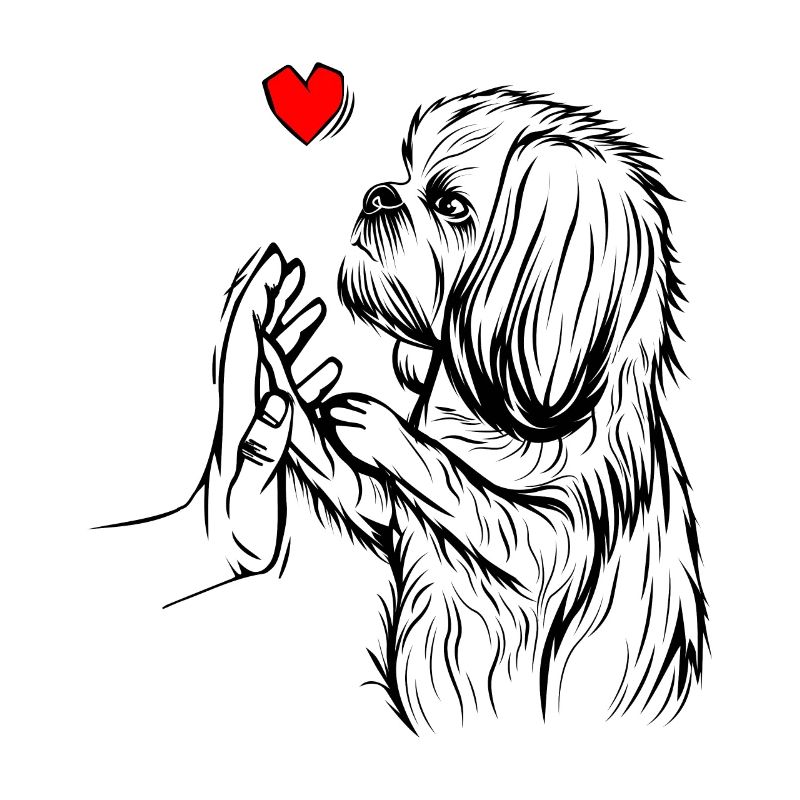 Shih Tzu