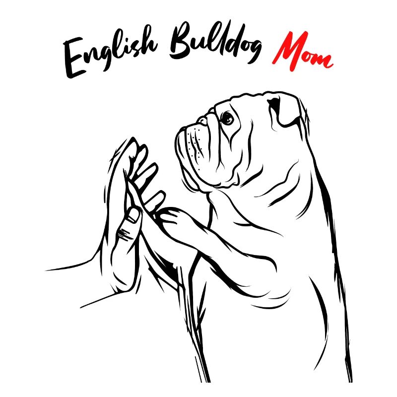 Englische Bulldogge