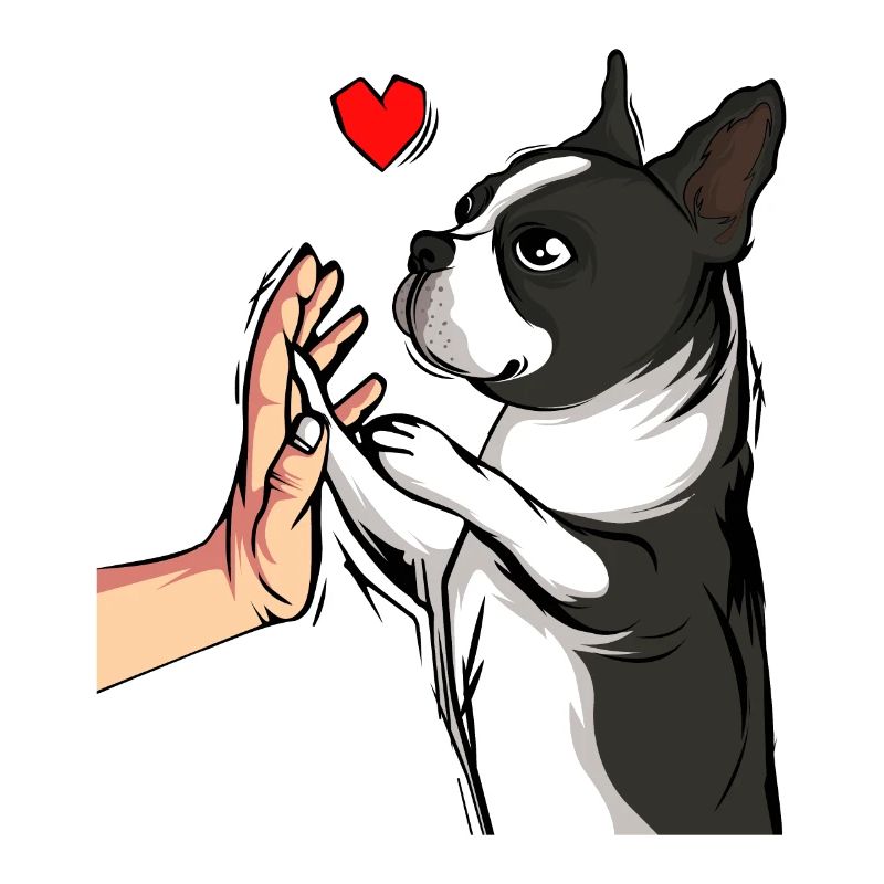 Boston Terrier chiens Chère maîtresse