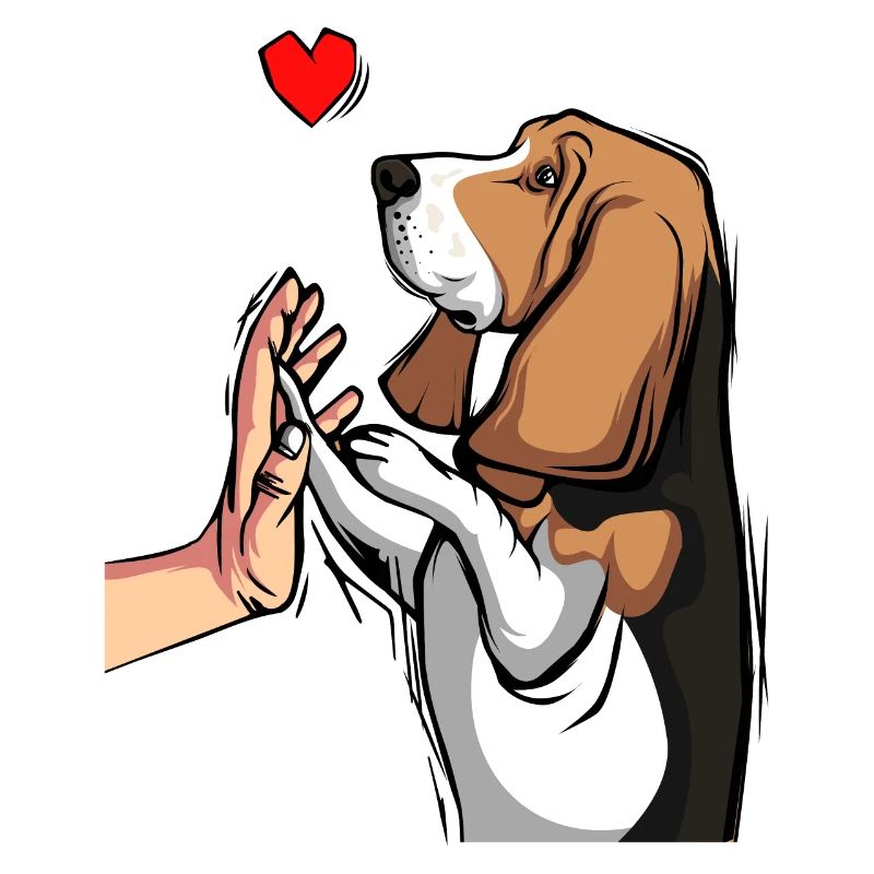 Basset Hound