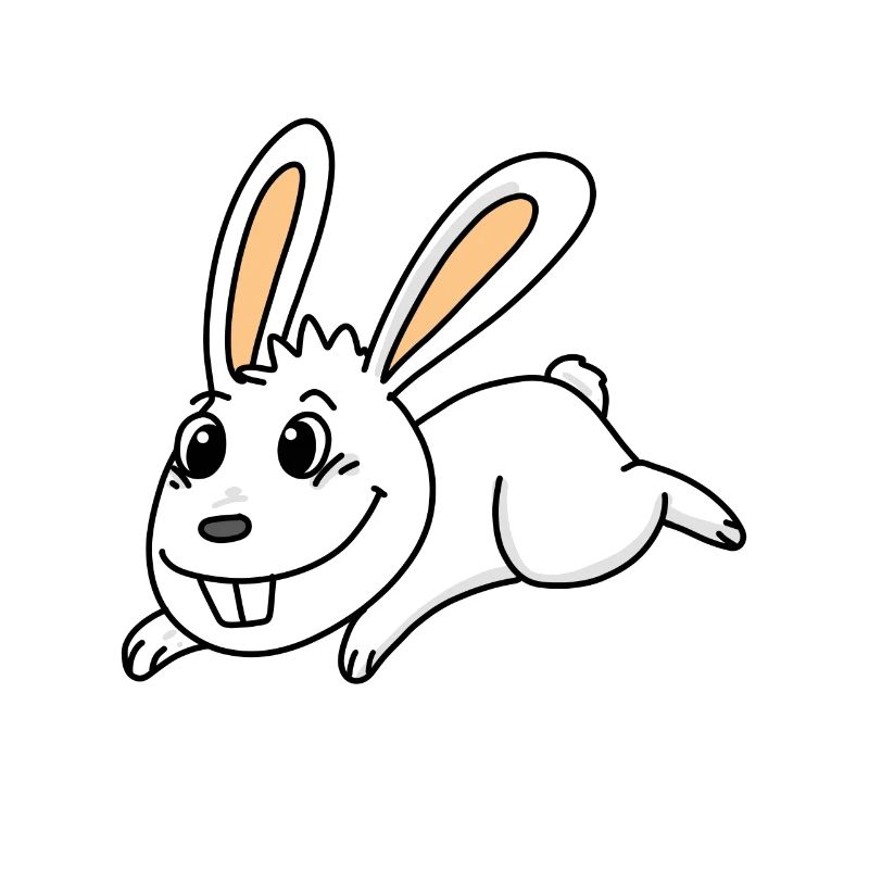 Rabbit easter