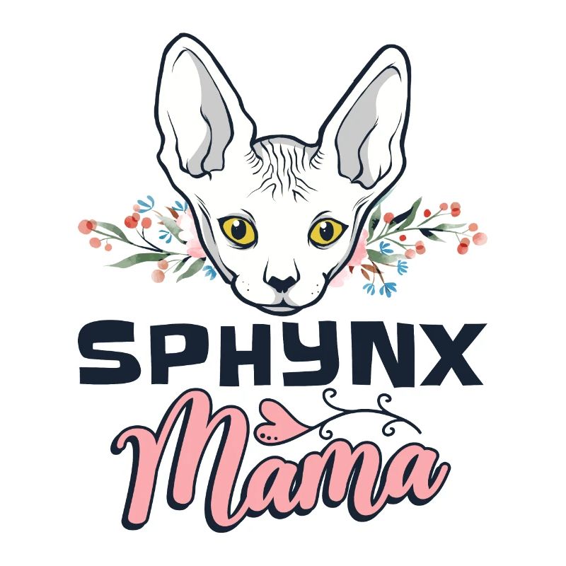 Sphynx chat Sphynx chat