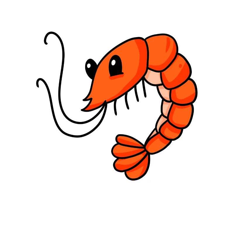 Garnele Garnelen