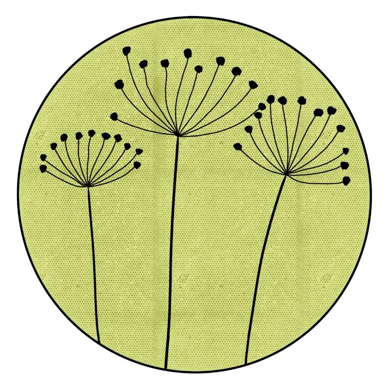 Trockenblume Minimal