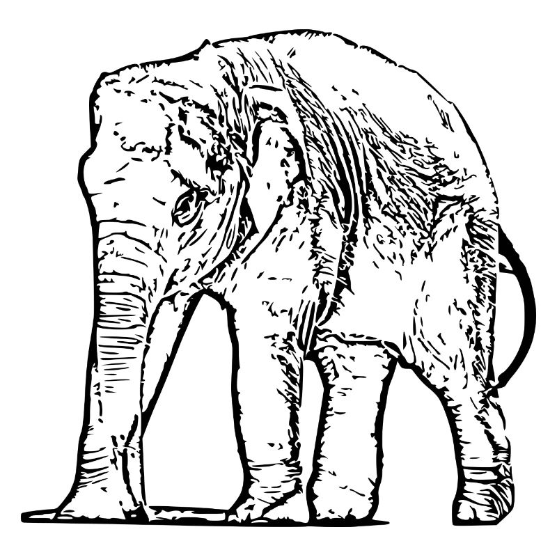 Elefant Baby schwarz