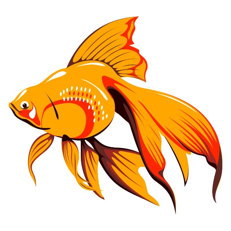 fish439