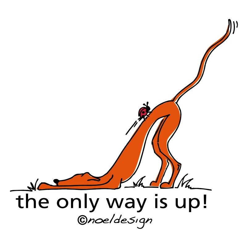 the_only_way_is_up