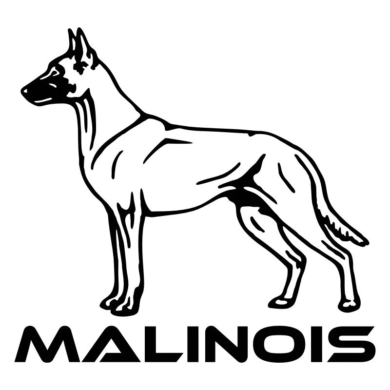 519 Malinois