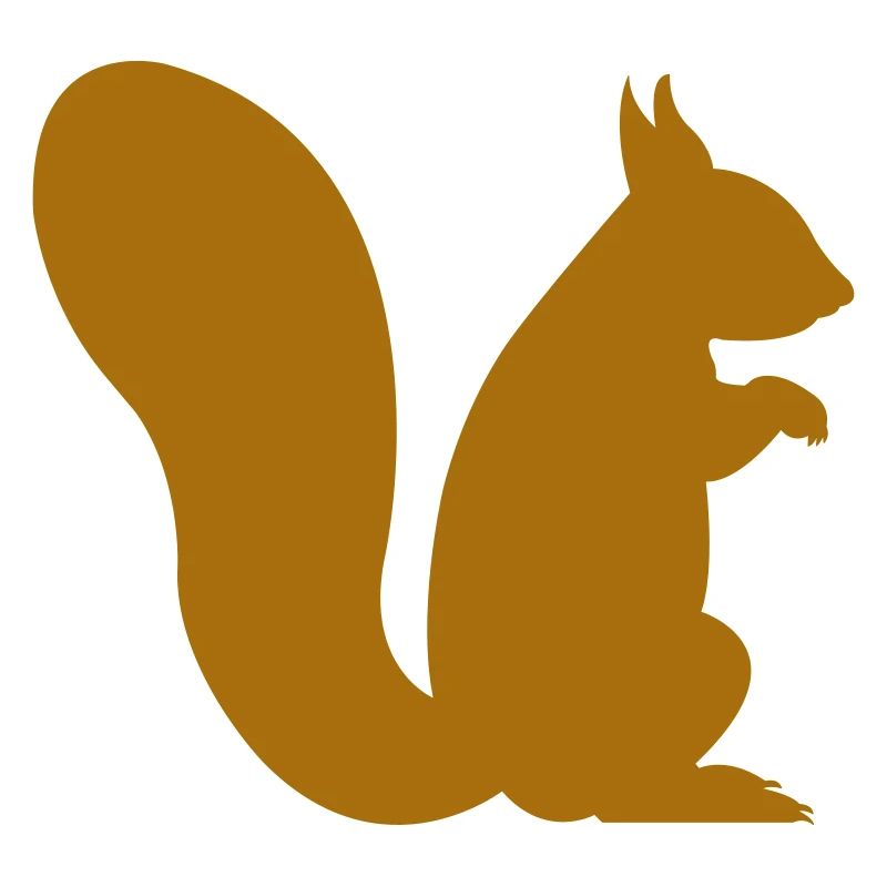squirrel