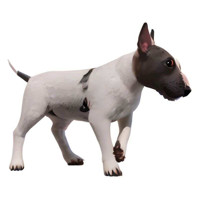 Miniature Bull Terrier