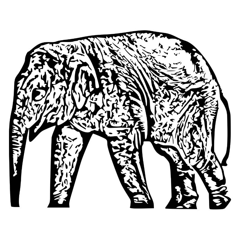 Elefant Baby schwarz