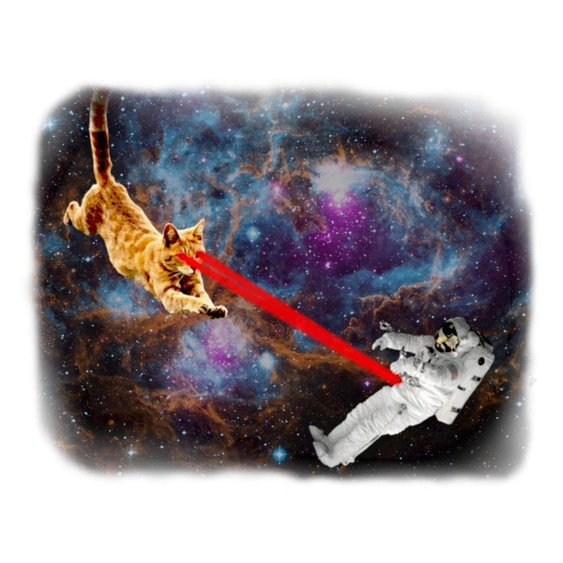 Spacecat Weltraumkatze