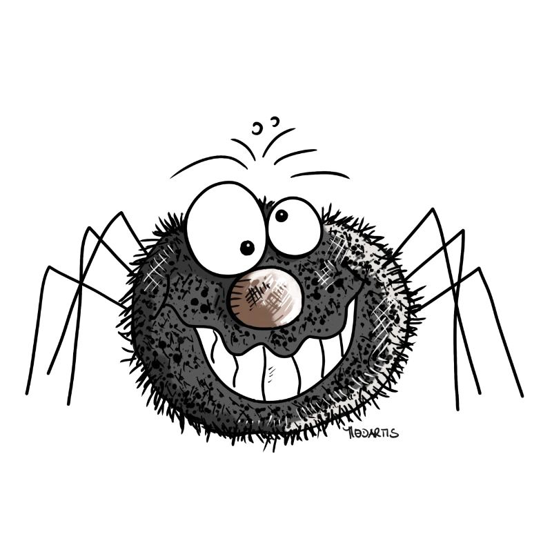 Funny spider