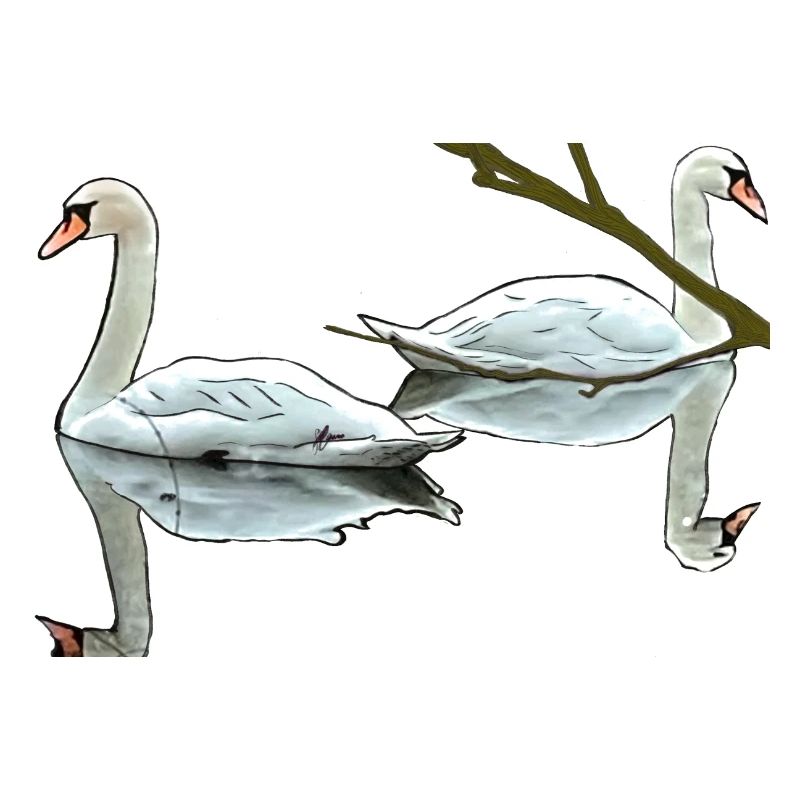 Schwäne