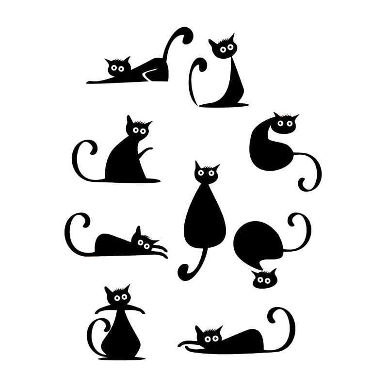 verschiedene Katzen Optik