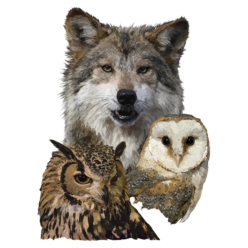 Wolf und Eulen