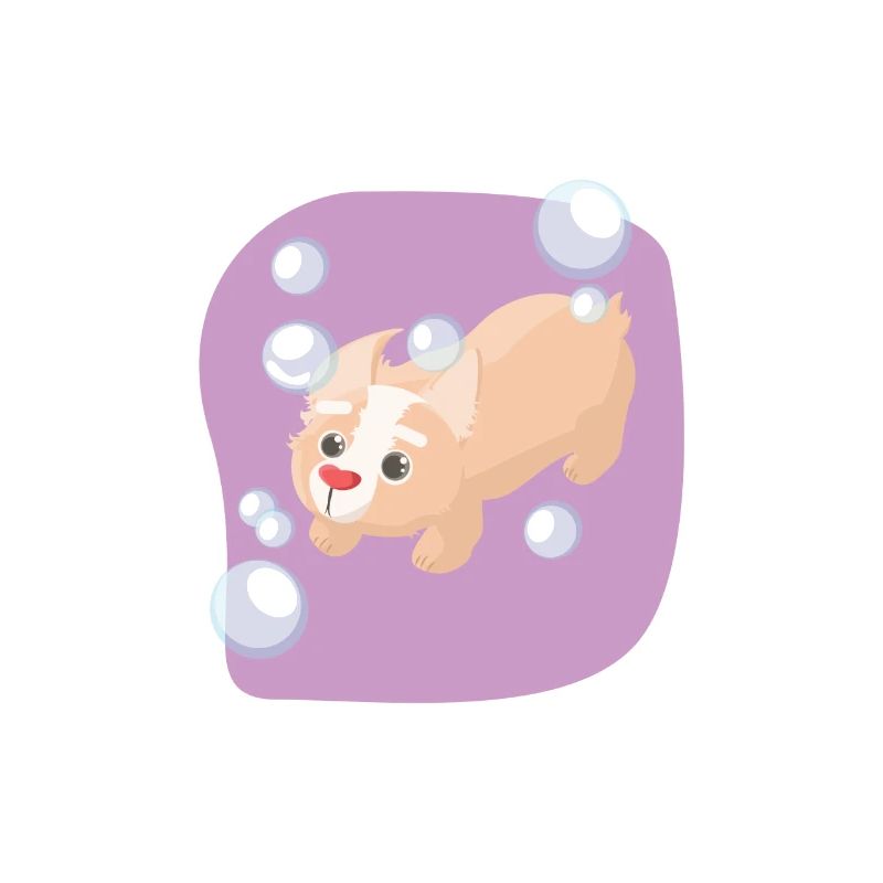 Seifenblasen Hund