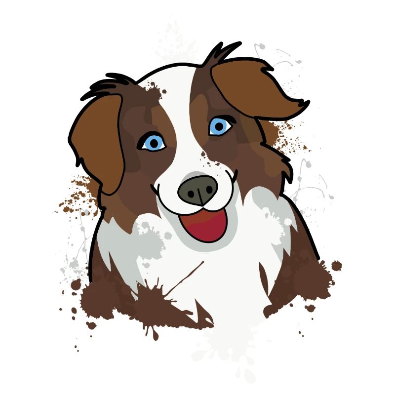 Australian Shepherd