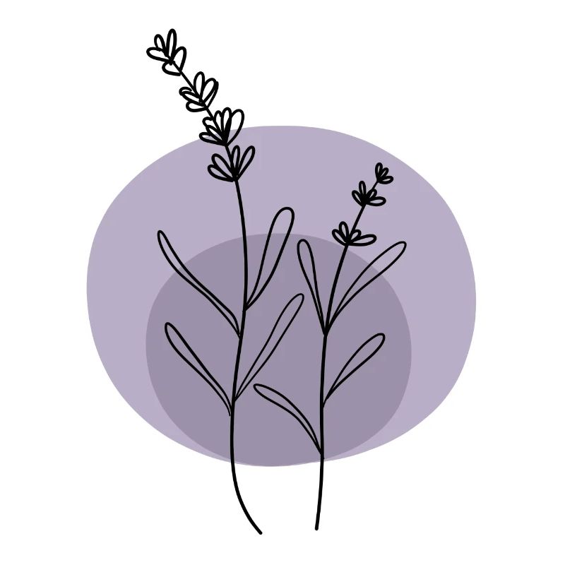 Lavendel schwarz lila