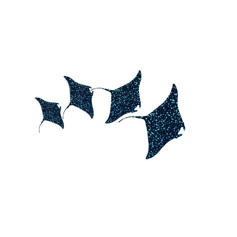 Manta Rochen