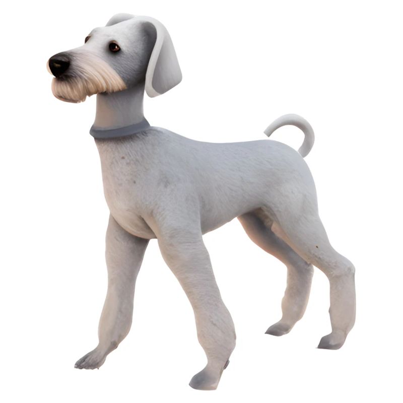 Bedlington Terrier