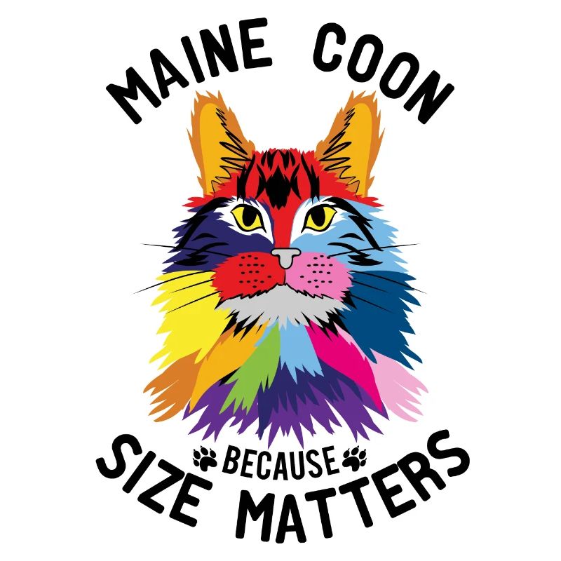 Bunte Maine Coon